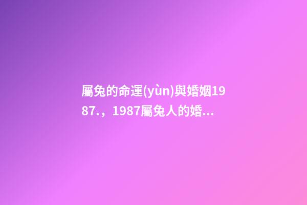 屬兔的命運(yùn)與婚姻1987.，1987屬兔人的婚姻與命運(yùn)如何 87年屬兔2022年婚姻最終歸宿-第1張-觀點(diǎn)-玄機(jī)派